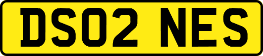 DS02NES