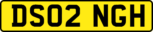 DS02NGH