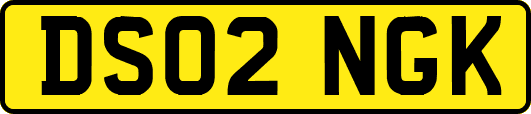 DS02NGK