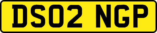 DS02NGP