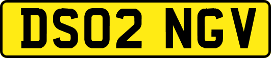 DS02NGV