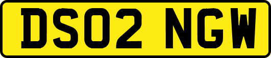 DS02NGW
