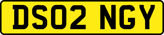 DS02NGY