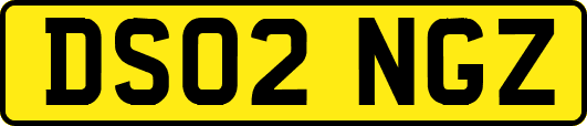 DS02NGZ