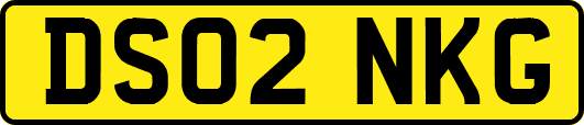 DS02NKG