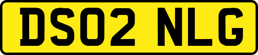 DS02NLG
