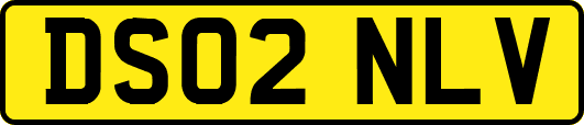 DS02NLV