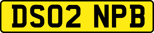 DS02NPB