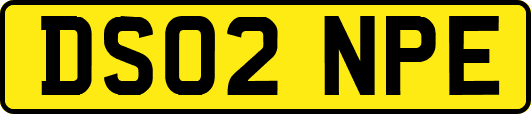 DS02NPE