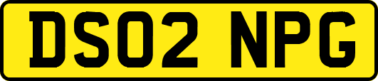 DS02NPG