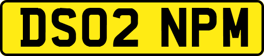 DS02NPM