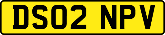 DS02NPV