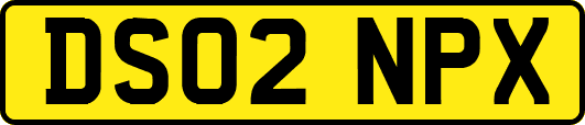 DS02NPX
