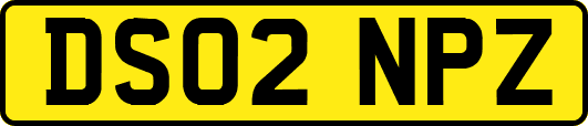 DS02NPZ