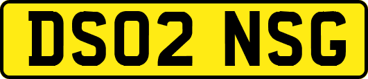 DS02NSG