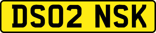 DS02NSK