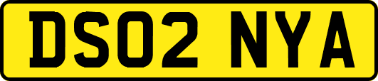 DS02NYA