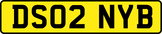 DS02NYB