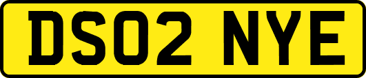 DS02NYE