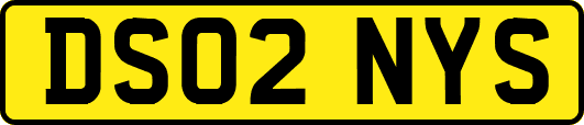 DS02NYS