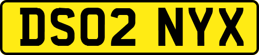 DS02NYX