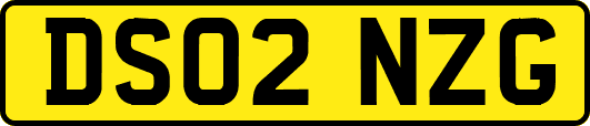 DS02NZG