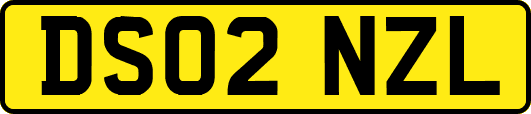 DS02NZL