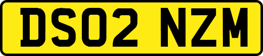 DS02NZM