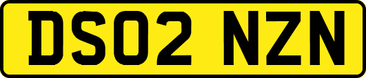 DS02NZN