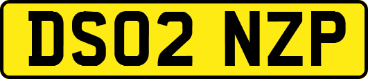 DS02NZP