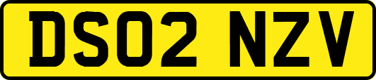 DS02NZV