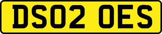 DS02OES