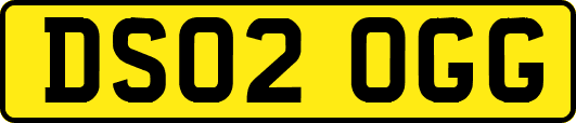 DS02OGG