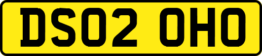 DS02OHO