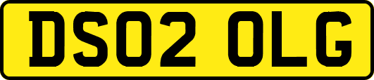 DS02OLG