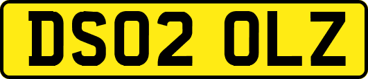 DS02OLZ