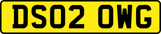 DS02OWG