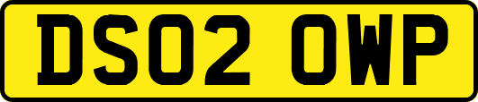 DS02OWP