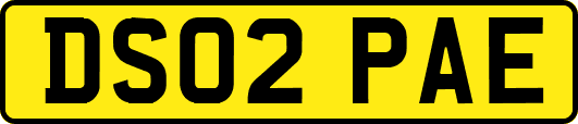 DS02PAE