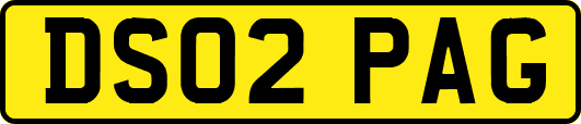 DS02PAG