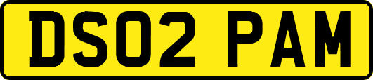 DS02PAM