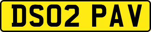 DS02PAV