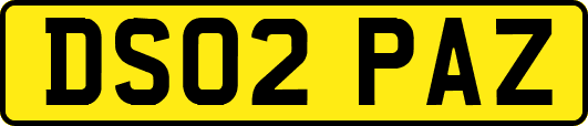 DS02PAZ