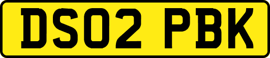 DS02PBK