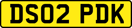 DS02PDK