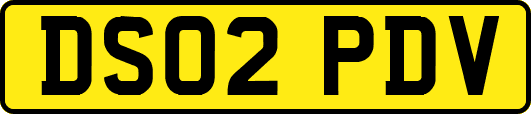 DS02PDV