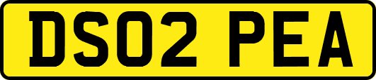 DS02PEA