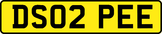 DS02PEE
