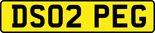 DS02PEG