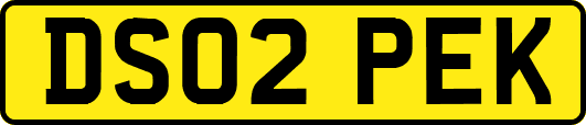 DS02PEK